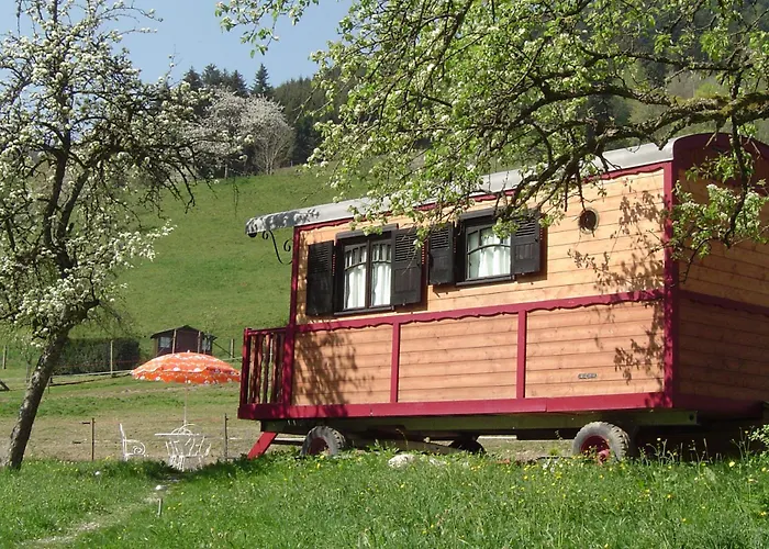 Le Repaire De Mitzerle