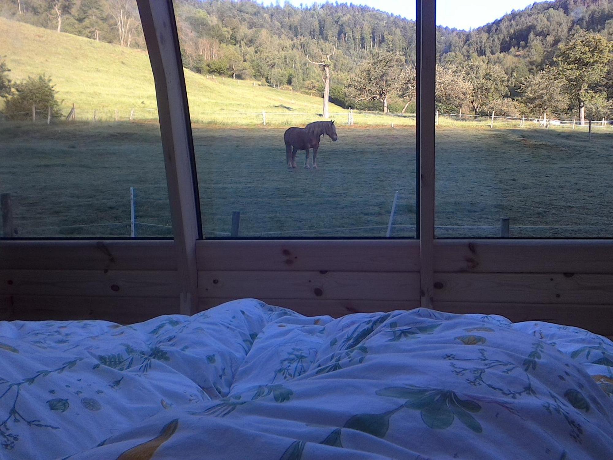 Le Repaire De Mitzerle Chalet Mitzach
