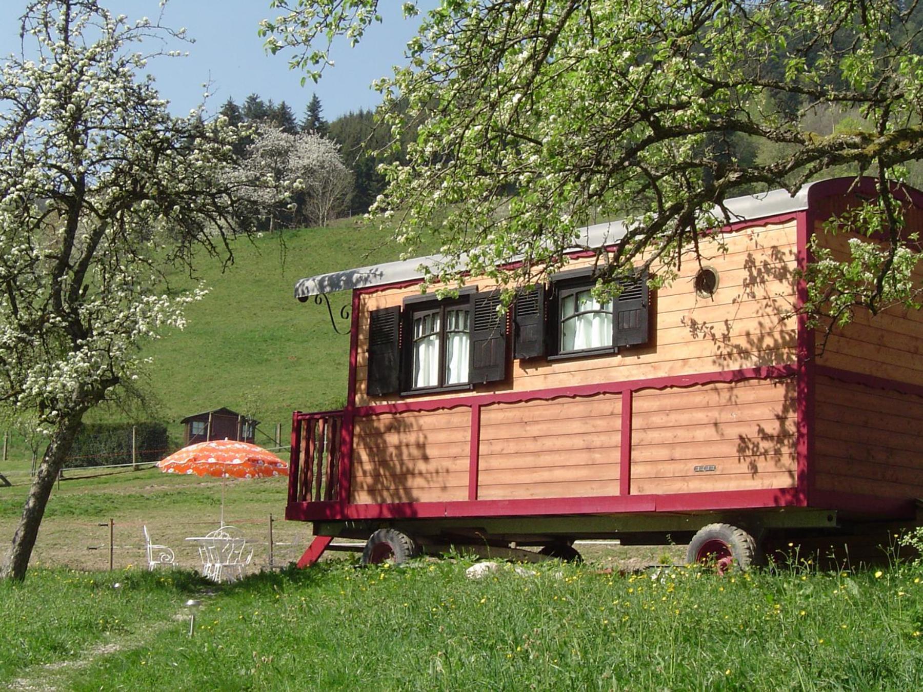 Le Repaire De Mitzerle * Mitzach
